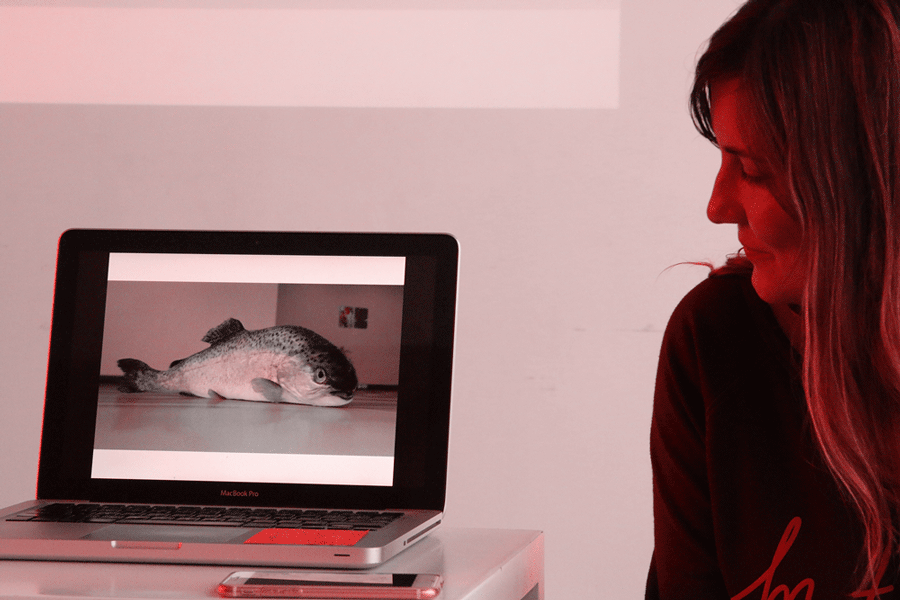 fluxus_moni