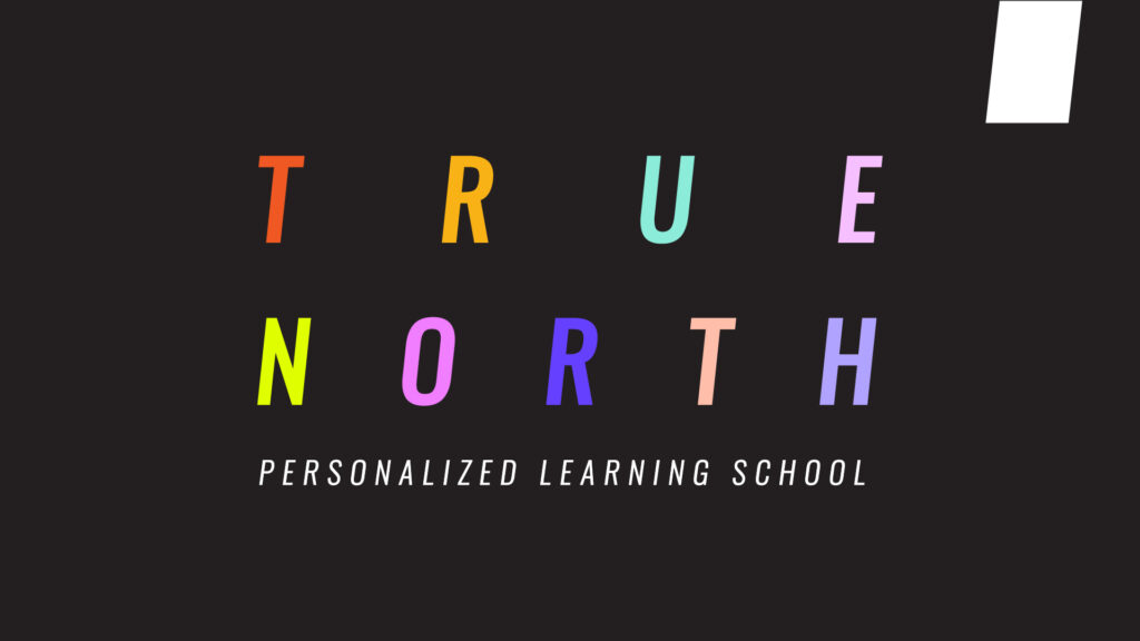true north school visual dna